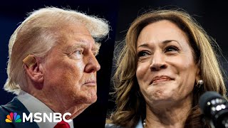 ‘Obvious raw fear’ Trump is ‘spiraling’ as Kamala Harris rises despite his attacks [upl. by Merow]