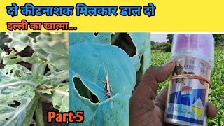 Kite insecticide  Indoxacarb14sc  Ajay Kashyap agriculture [upl. by Erlina]