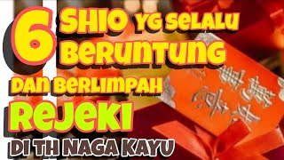 6 SHIO yg selalu BERUNTUNG amp berlimpah REJEKI di th NAGA KAYU [upl. by Nevlin480]