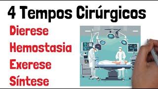 Quais são os 4 Tempos Cirúrgicos Dierese Hemostasia Exerese e Síntese [upl. by Ronna]