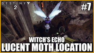 Lucent Moth Location  Witchs Echo Destiny 2 [upl. by Annoyk]