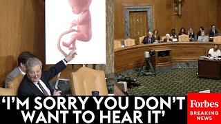 John Kennedy Relentlessly Grills ProChoice Witness Snaps At Sheldon Whitehouse For Cutting Him Off [upl. by Ahsinal]