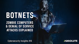 Zombie Computers Botnets and Denial of Service Attacks  Cybersecurity Insights 16 [upl. by Iams781]