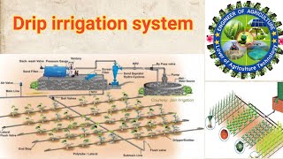 drip irrigation working model  drip irrigation system  drip irrigation model [upl. by Dlanor]