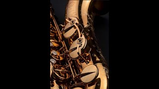 Selmer Supreme Tenor Unboxing [upl. by Olgnaed976]