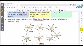 CNS Physiology synaptic transmission [upl. by Glavin66]