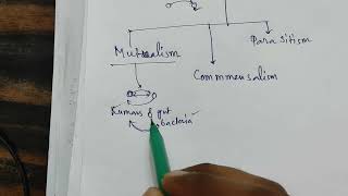 What is Symbiosis I Symbiotic Relationship I Science I explained in Bengali [upl. by Atneciv634]