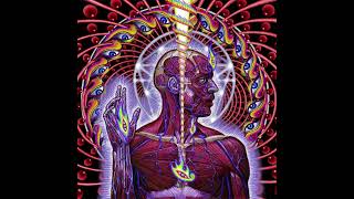 Tool  Lateralus 2001 Full Album [upl. by Etsirhc709]