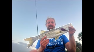 Catching a Big Snook on the Homosassa River Florida [upl. by Ellekim]