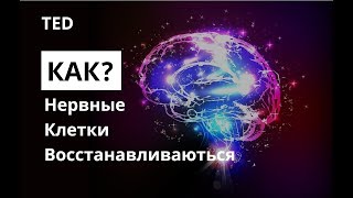 Нервные клетки восстанавливаются Как будут лечить инсульт в 2030 Жослин Блок TED [upl. by Hamlet159]