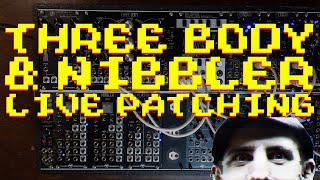 Three Body amp Nibbler Live Patching [upl. by Ahsinyt449]