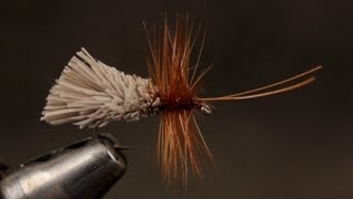 Goddard Caddis [upl. by Coben]