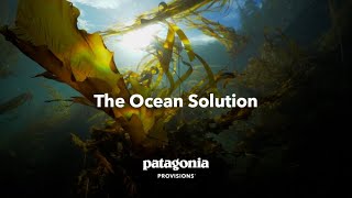 The Ocean Solution  Patagonia Provisions [upl. by Anierdna]