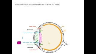 BIOPHYSIQUE Dioptrique Oculaire [upl. by Slavin35]