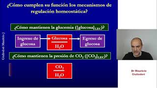 Aspectos clave de la regulación homeostática en humanos y otros mamíferos [upl. by Acnalb]