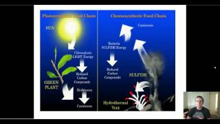 Types of Autotrophs [upl. by Akcinat35]