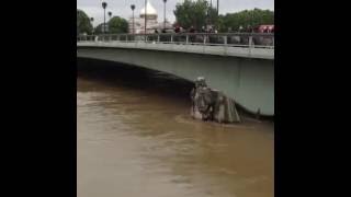 Le Zouave du pont de lAlma a de leau jusquen haut des cuisses [upl. by Nalac58]