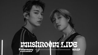 MUSHROOM LIVE SPECIAL 피원하모니 인탁 amp 종섭 P1Harmony INTAK amp JONGSEOB  WASP [upl. by Telfore]