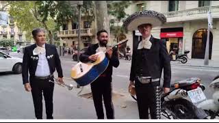 Viva forocoches mariachis DEVERMUT [upl. by Roma]