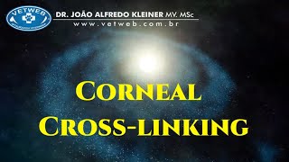 Corneal Crosslinking in Veterinary Ophthalmology [upl. by Adanama420]