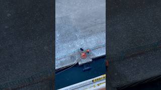 Watching Dock Workers Unmoor the Carnival Radiance Cruise Ship Last Rope [upl. by Ellevart]