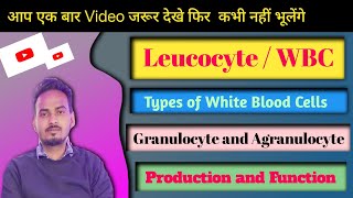 TLC Explain in Hindi  White Blood Cells Count  WBC test in Hindi  Total Leucocyte Count [upl. by Maurili]