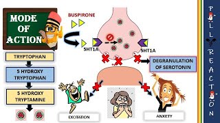 Buspirone 5HT1A agonist MOA Advantages over Benzodiazepines [upl. by Erapsag]