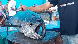 Amazing Skills of cutting tuna at Puri Bridge Fish Market Live 07 Nov 24 [upl. by Tarah71]