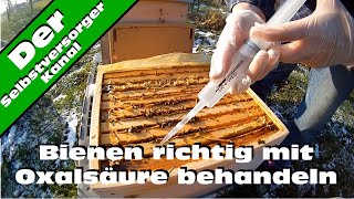 Bienen richtig mit Oxalsaeure gegen Varroamilben behandeln [upl. by Odie]