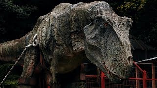 Combe Martin Wildlife and Dinosaur Park Full Video [upl. by Ailed971]