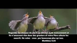 Les oiseaux chantent [upl. by Alby]