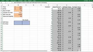 How to Value Stock Options with Monte Carlo Simulation in Excel [upl. by Nehtanoj39]