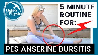 Our full 5 minute guided routine for PES ANSERINE BURSITIS [upl. by Ykcub]