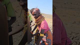 Turkana Tribe Traditional Dance shortsfeed africa africanculture [upl. by Suoirrad]