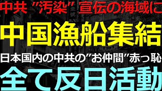 0904 日本に実害が生じているのにヘラヘラしている政治家は何なの？ [upl. by Niatsirk]