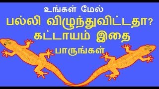 palli vilum palan in tamil for both male and female  palli vizhum sastram [upl. by Sreip]