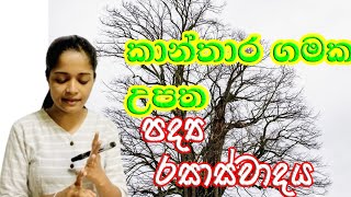 කාන්තාර ගමක උපත  පද්‍ය රසාස්වාදය  Kanthara Gamaka Upatha  1011 ශ්‍රේණි  රසාස්වාදය [upl. by Chura131]