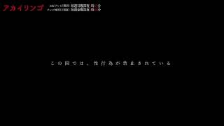 Akai Ringo Trailer [upl. by Yornek491]