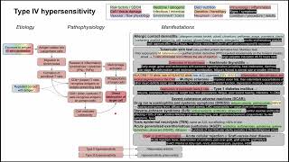 Type IV hypersensitivity mechanism of disease [upl. by Idid]