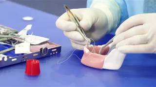 Placing OSSIX® Plus resorbable membrane Part 2  Suturing [upl. by Erbua182]