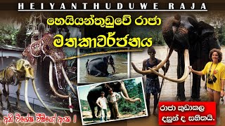 Heiyantuduwa Rajaහෙයියන්තුඩුවේ රාජා මතකාවර්ජනය විශේෂ විඩියෝ අංක 01 heiyanthuduwe raja tusker [upl. by Ayotol]