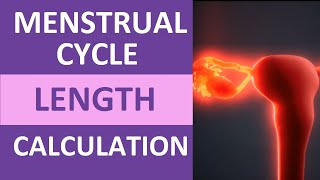 Menstrual Cycle Calendar Calculation Explained  Period Cycle Length Counting [upl. by Enitnelav]