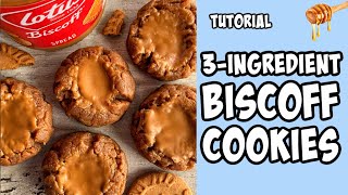 3Ingredient Biscoff Cookies Recipe tutorial Shorts [upl. by Crystie]