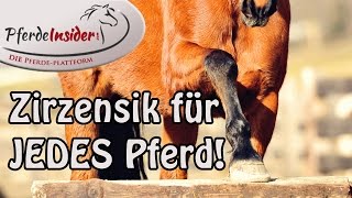 Zirzensische Gymnastik  Sinnvolles Training für JEDES Pferd🐎😍 [upl. by Keiko]