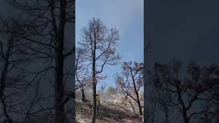 Pocatello Helitack helicopter dropping gear for ground crews Kinsley fire in Nevada [upl. by Benoit]