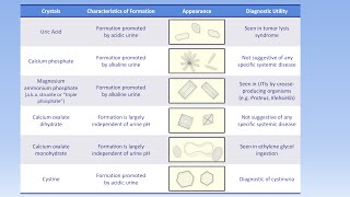 Interpretation of the Urinalysis Part 3  Microscopy and Summary [upl. by Eilegna]