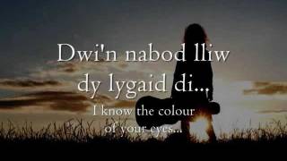 Dy Lygaid Di  Gwyneth Glyn geiriau  lyrics [upl. by Ewen]