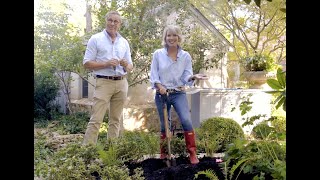 Garden Design Planting Reblooming Encore Azaleas in a Raised Bed [upl. by Bambi58]