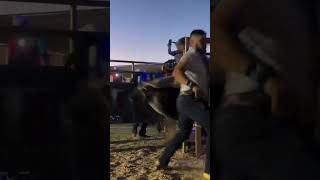 El toro más criticado REGRESAtoros torosbravos jaripeo bull ganado mascotas cow jaripeo [upl. by Warchaw]