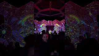 Penta  Era Festival 2024  Canada  Track Flying Rabbits Shorts rave fullonpsytrance [upl. by Ohnuj]